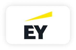 Ernst Young Private Limited Logo